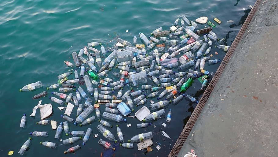 Plastic bottles floating in water
